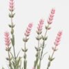 Artificial Flower Lavender 7 bush GS-05523020_2 Artificial Flower 13*13*46cm Lavender *7 bush GS-05523020 Flowers Bush YeahFlower is one of Chinese leading OEM manufacturers and exporters , supplying the silk flowers, wholesale artificial trees