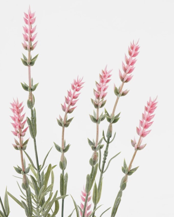 Artificial Flower Lavender 7 bush GS-05523020_2 Artificial Flower 13*13*46cm Lavender *7 bush GS-05523020 Flowers Bush YeahFlower is one of Chinese leading OEM manufacturers and exporters , supplying the silk flowers, wholesale artificial trees
