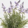 Artificial Flower Lavender in cement pot GS-03323080_6 Artificial Flower 25*25*33cm Lavender in cement pot GS-03323080 Potted Flowers&Plants YeahFlower is one of Chinese leading OEM manufacturers and exporters , supplying the silk flowers, wholesale artificial trees