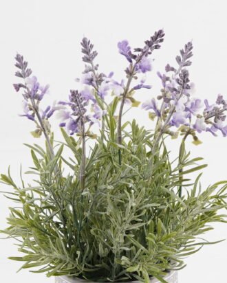 Artificial Flower 25*25*33cm Lavender in cement pot GS-03323080 Potted Flowers&Plants YeahFlower is one of Chinese leading OEM manufacturers and exporters , supplying the silk flowers, wholesale artificial trees Artificial Flower 25*25*33cm Lavender in cement pot GS-03323080 Potted Flowers&Plants YeahFlower is one of Chinese leading OEM manufacturers and exporters , supplying the silk flowers, wholesale artificial trees