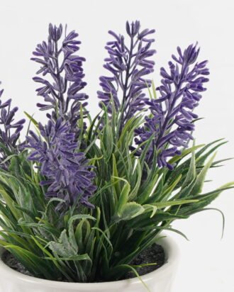 Artificial Flower 12*12*17cm Lavnder in ceramic pot GS-03323056 Potted Flowers&Plants YeahFlower is one of Chinese leading OEM manufacturers and exporters , supplying the silk flowers, wholesale artificial trees Artificial Flower 12*12*17cm Lavnder in ceramic pot GS-03323056 Potted Flowers&Plants YeahFlower is one of Chinese leading OEM manufacturers and exporters , supplying the silk flowers, wholesale artificial trees