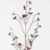 Artificial Flower Money Leaf single stem GS-30323007-Z1_5 Artificial Flower 11*11*102cm Money Leaf single stem GS-30323007-Z1 Single Flowers YeahFlower is one of Chinese leading OEM manufacturers and exporters , supplying the silk flowers, wholesale artificial trees