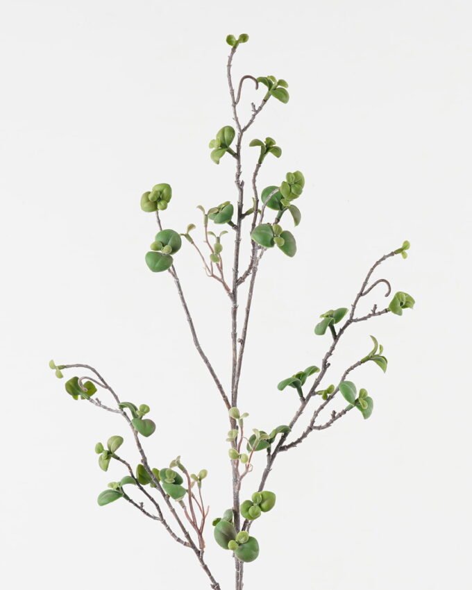 Artificial Flower 11*11*102cm Money Leaf single stem GS-30323007 Single Flowers YeahFlower is one of Chinese leading OEM manufacturers and exporters , supplying the silk flowers, wholesale artificial trees