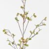 Artificial Flower Money Leaf single stem GS-30323009_5 Artificial Flower 11*11*105cm Money Leaf single stem GS-30323009 Single Flowers YeahFlower is one of Chinese leading OEM manufacturers and exporters , supplying the silk flowers, wholesale artificial trees