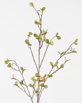 Artificial Flower 11*11*105cm Money Leaf single stem GS-30323009 Single Flowers YeahFlower is one of Chinese leading OEM manufacturers and exporters , supplying the silk flowers, wholesale artificial trees
