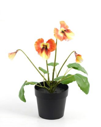 Artificial Flower 19*15*27cm Pansy in PP pot GS-03323009-O1 Potted Flowers&Plants YeahFlower is one of Chinese leading OEM manufacturers and exporters , supplying the silk flowers, wholesale artificial trees Artificial Flower 19*15*27cm Pansy in PP pot GS-03323009-O1 Potted Flowers&Plants YeahFlower is one of Chinese leading OEM manufacturers and exporters , supplying the silk flowers, wholesale artificial trees