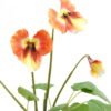 Artificial Flower 19*15*27cm Pansy in PP pot GS-03323009-O1 Potted Flowers&Plants YeahFlower is one of Chinese leading OEM manufacturers and exporters , supplying the silk flowers, wholesale artificial trees