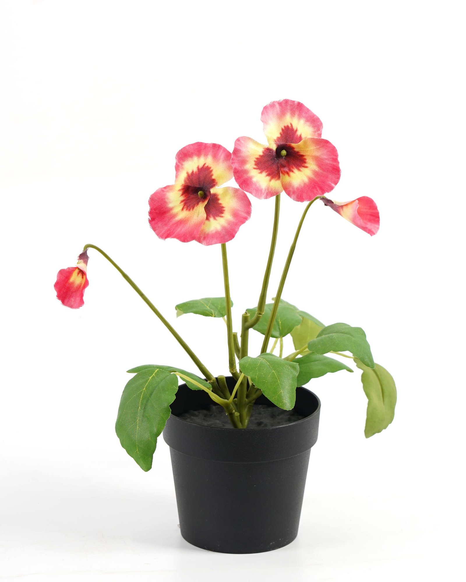 Artificial-Flower-Pansy-in-PP-pot-GS-03323009-P2_1-1.jpg Artificial Flower 19*15*27cm Pansy in PP pot GS-03323009-P2 Potted Flowers&Plants YeahFlower is one of Chinese leading OEM manufacturers and exporters , supplying the silk flowers, wholesale artificial trees