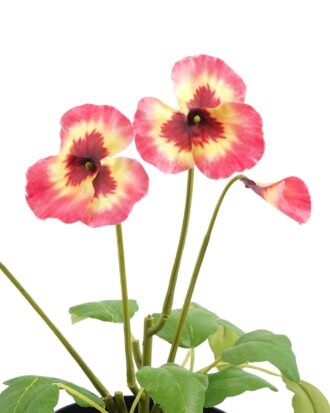 Artificial Flower 19*15*27cm Pansy in PP pot GS-03323009-P2 Potted Flowers&Plants YeahFlower is one of Chinese leading OEM manufacturers and exporters , supplying the silk flowers, wholesale artificial trees Artificial Flower 19*15*27cm Pansy in PP pot GS-03323009-P2 Potted Flowers&Plants YeahFlower is one of Chinese leading OEM manufacturers and exporters , supplying the silk flowers, wholesale artificial trees