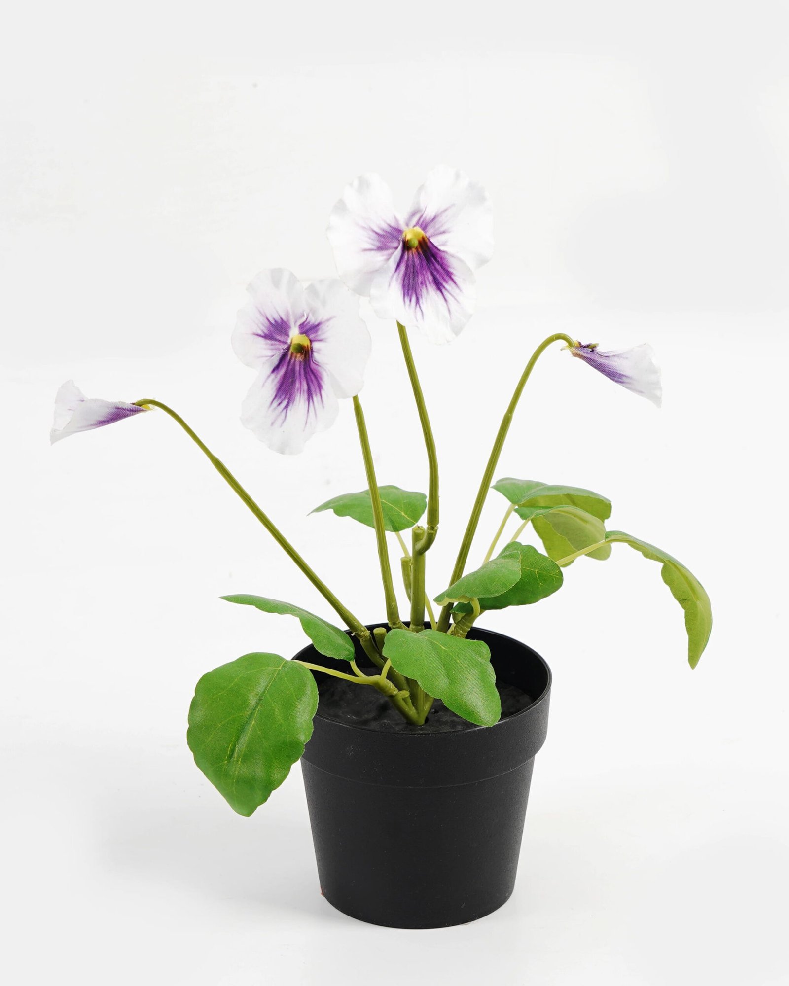 Artificial-Flower-Pansy-in-PP-pot-GS-03323009-W1_7-1.jpg Artificial Flower 19*15*27cm Pansy in PP pot GS-03323009-W1 Potted Flowers&Plants YeahFlower is one of Chinese leading OEM manufacturers and exporters , supplying the silk flowers, wholesale artificial trees