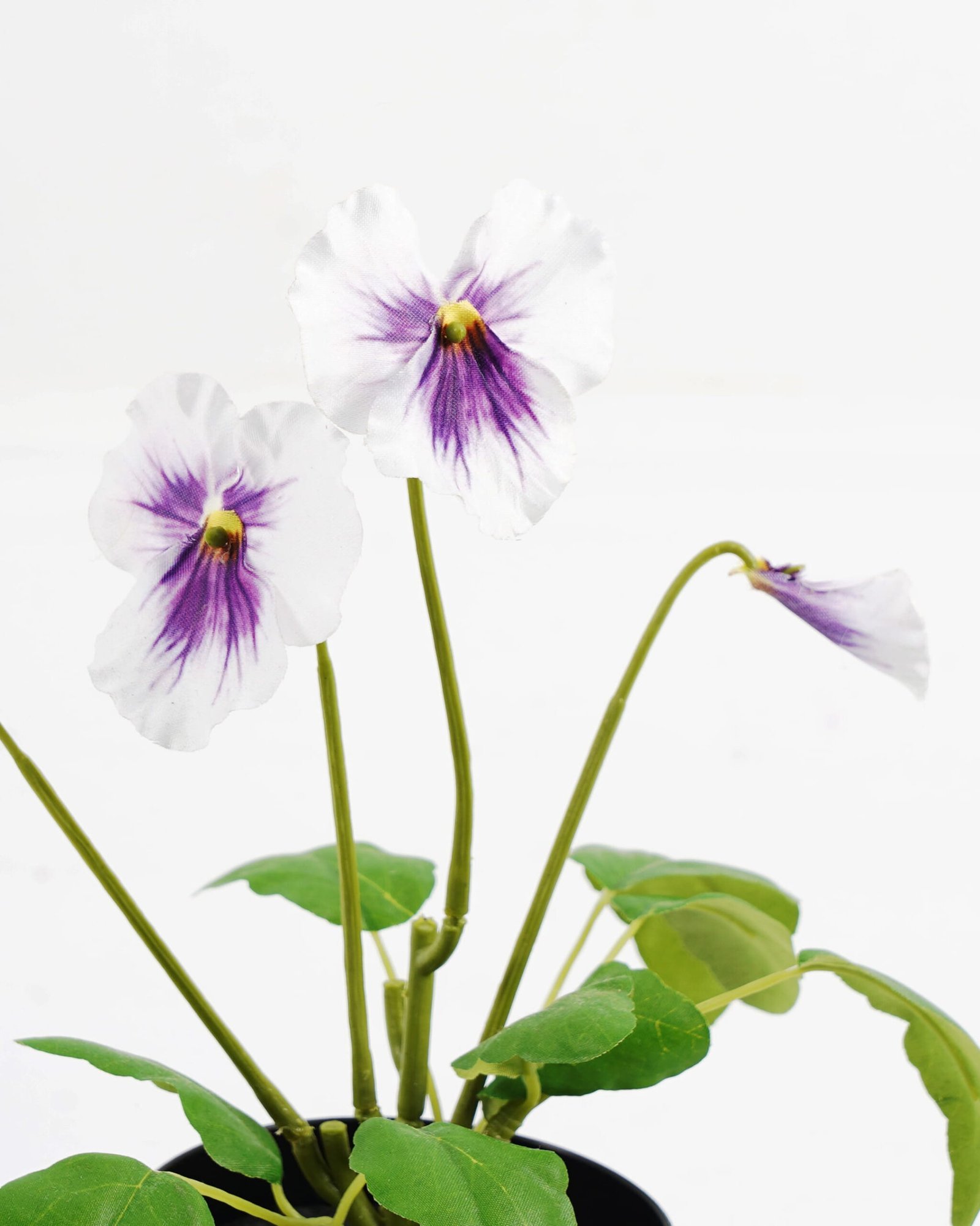 Artificial-Flower-Pansy-in-PP-pot-GS-03323009-W1_9-1.jpg Artificial Flower 19*15*27cm Pansy in PP pot GS-03323009-W1 Potted Flowers&Plants YeahFlower is one of Chinese leading OEM manufacturers and exporters , supplying the silk flowers, wholesale artificial trees
