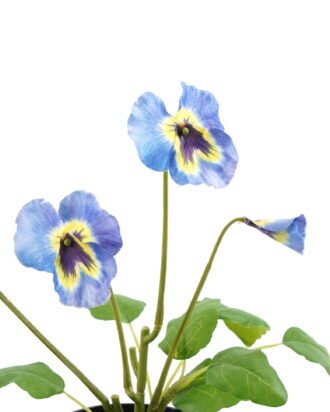 Artificial Flower 19*15*27cm Pansy in PP pot GS-03323009 Potted Flowers&Plants YeahFlower is one of Chinese leading OEM manufacturers and exporters , supplying the silk flowers, wholesale artificial trees Artificial Flower 19*15*27cm Pansy in PP pot GS-03323009 Potted Flowers&Plants YeahFlower is one of Chinese leading OEM manufacturers and exporters , supplying the silk flowers, wholesale artificial trees