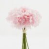 Artificial Flower 22*22*29cm Peony *12 bundle GS-06923002-P1 Bouquet YeahFlower is one of Chinese leading OEM manufacturers and exporters , supplying the silk flowers, wholesale artificial trees