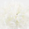 Artificial Flower Peony 12 bundle GS-06923002-W1_2 Artificial Flower 22*22*29cm Peony *12 bundle GS-06923002-W1 Bouquet YeahFlower is one of Chinese leading OEM manufacturers and exporters , supplying the silk flowers, wholesale artificial trees