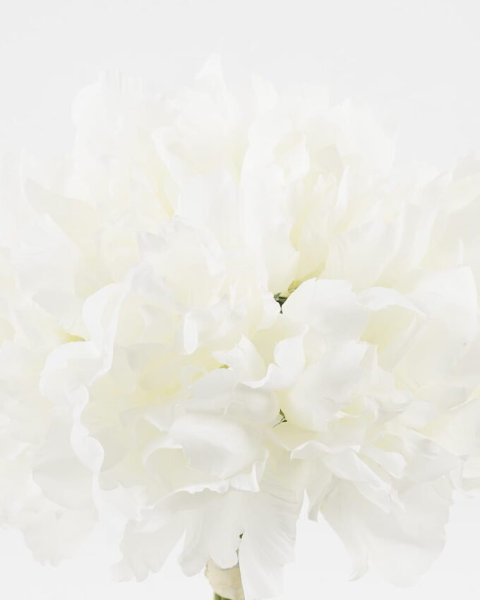 Artificial Flower Peony 12 bundle GS-06923002-W1_2 Artificial Flower 22*22*29cm Peony *12 bundle GS-06923002-W1 Bouquet YeahFlower is one of Chinese leading OEM manufacturers and exporters , supplying the silk flowers, wholesale artificial trees