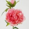 Artificial Flower 23*20*64cm Peony *2 single stem GS-70723002CONTI-P3 Single Flowers YeahFlower is one of Chinese leading OEM manufacturers and exporters , supplying the silk flowers, wholesale artificial trees