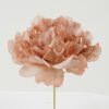 Artificial Flower Peony single stem GS-70023010CONTI-K1_3 Artificial Flower 13*13*16cm Peony single stem GS-70023010CONTI-K1 Single Flowers YeahFlower is one of Chinese leading OEM manufacturers and exporters , supplying the silk flowers, wholesale artificial trees