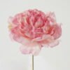 Artificial Flower 13*13*16cm Peony single stem GS-70023010CONTI-P1 Single Flowers YeahFlower is one of Chinese leading OEM manufacturers and exporters , supplying the silk flowers, wholesale artificial trees