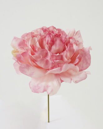 Artificial Flower 13*13*16cm Peony single stem GS-70023010CONTI-P1 Single Flowers YeahFlower is one of Chinese leading OEM manufacturers and exporters , supplying the silk flowers, wholesale artificial trees