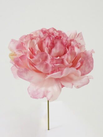 Artificial Flower 13*13*16cm Peony single stem GS-70023010CONTI-K1 Single Flowers 3,000+ sqm showroom with thousands of artificial flowers, plants & trees ready for global sourcing.