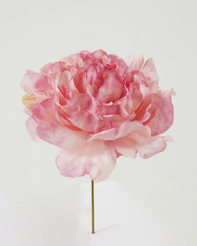 Artificial Flower 13*13*16cm Peony single stem GS-70023010CONTI-P1 Single Flowers YeahFlower is one of Chinese leading OEM manufacturers and exporters , supplying the silk flowers, wholesale artificial trees