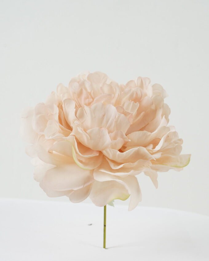 Artificial Flower 13*13*16cm Peony single stem GS-70023010CONTI-P1 Single Flowers YeahFlower is one of Chinese leading OEM manufacturers and exporters , supplying the silk flowers, wholesale artificial trees
