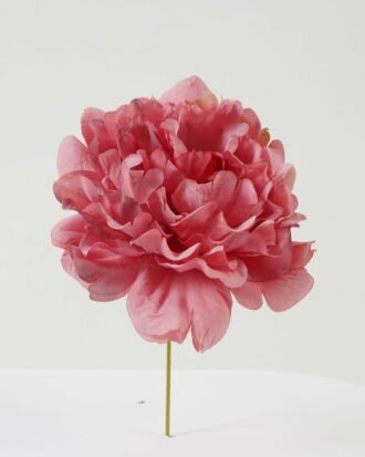 Artificial Flower 13*13*16cm Peony single stem GS-70023010CONTI-R1 Single Flowers YeahFlower is one of Chinese leading OEM manufacturers and exporters , supplying the silk flowers, wholesale artificial trees