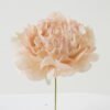 Artificial Flower 13*13*16cm Peony single stem GS-70023010CONTI-R1 Single Flowers YeahFlower is one of Chinese leading OEM manufacturers and exporters , supplying the silk flowers, wholesale artificial trees