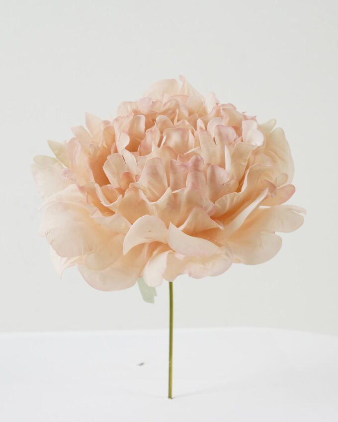 Artificial Flower 13*13*16cm Peony single stem GS-70023010CONTI-R1 Single Flowers YeahFlower is one of Chinese leading OEM manufacturers and exporters , supplying the silk flowers, wholesale artificial trees