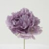 Artificial Flower 13*13*16cm Peony single stem GS-70023010CONTI-Z1 Single Flowers YeahFlower is one of Chinese leading OEM manufacturers and exporters , supplying the silk flowers, wholesale artificial trees