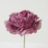 Artificial Flower 13*13*16cm Peony single stem GS-70023010CONTI-Z1 Single Flowers YeahFlower is one of Chinese leading OEM manufacturers and exporters , supplying the silk flowers, wholesale artificial trees