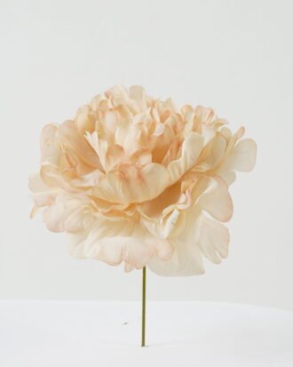 Artificial Flower 13*13*16cm Peony single stem GS-70023010CONTI Single Flowers YeahFlower is one of Chinese leading OEM manufacturers and exporters , supplying the silk flowers, wholesale artificial trees