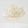 Artificial Flower Peony single stem GS-70023010CONTI_3 Artificial Flower 13*13*16cm Peony single stem GS-70023010CONTI Single Flowers YeahFlower is one of Chinese leading OEM manufacturers and exporters , supplying the silk flowers, wholesale artificial trees