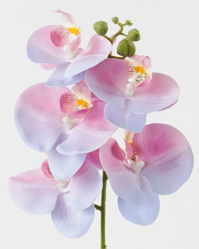 Artificial Flower 15*67cm Phalaenopsis *5 single stem GS-64923006-B3 Single Flowers YeahFlower is one of Chinese leading OEM manufacturers and exporters , supplying the silk flowers, wholesale artificial trees