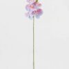 Artificial Flower 15*67cm Phalaenopsis *5 single stem GS-64923006-B3 Single Flowers YeahFlower is one of Chinese leading OEM manufacturers and exporters , supplying the silk flowers, wholesale artificial trees