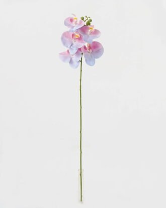 Artificial Flower 15*67cm Phalaenopsis *5 single stem GS-64923006-B3 Single Flowers YeahFlower is one of Chinese leading OEM manufacturers and exporters , supplying the silk flowers, wholesale artificial trees