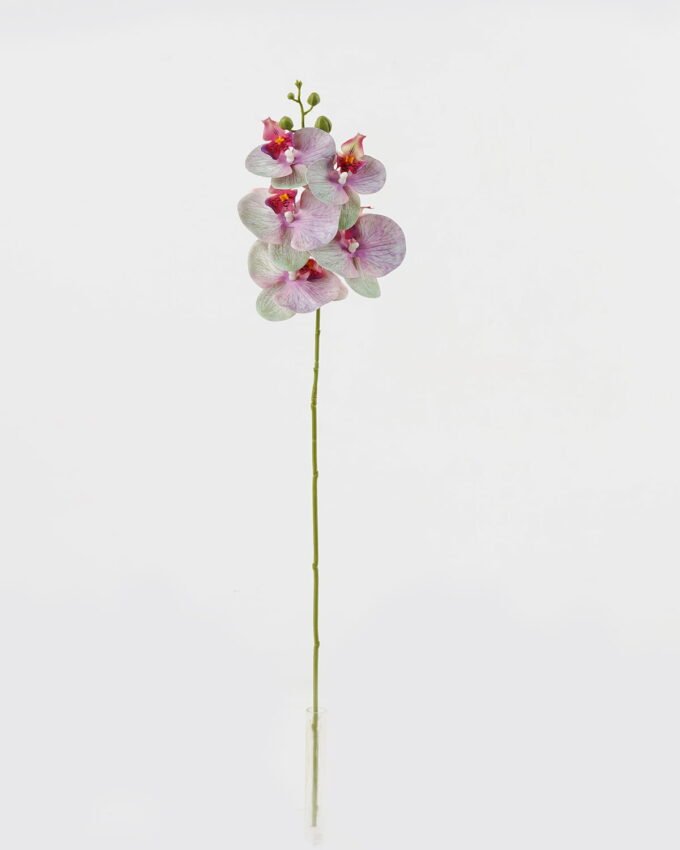 Artificial Flower 15*67cm Phalaenopsis *5 single stem GS-64923006-B3 Single Flowers YeahFlower is one of Chinese leading OEM manufacturers and exporters , supplying the silk flowers, wholesale artificial trees