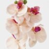Artificial Flower Phalaenopsis 5 single stem GS-64923006-K1_1 Artificial Flower 15*67cm Phalaenopsis *5 single stem GS-64923006-K1 Single Flowers YeahFlower is one of Chinese leading OEM manufacturers and exporters , supplying the silk flowers, wholesale artificial trees