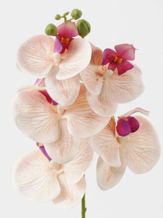 Artificial Flower 15*67cm Phalaenopsis *5 single stem GS-64923006-B3 Single Flowers 3,000+ sqm showroom with thousands of artificial flowers, plants & trees ready for global sourcing.