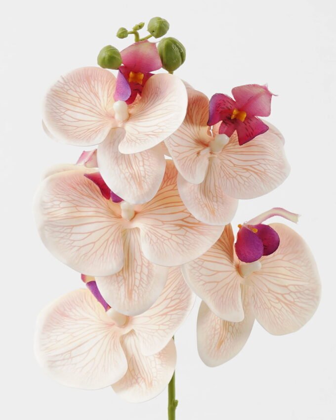 Artificial Flower Phalaenopsis 5 single stem GS-64923006-K1_1 Artificial Flower 15*67cm Phalaenopsis *5 single stem GS-64923006-K1 Single Flowers YeahFlower is one of Chinese leading OEM manufacturers and exporters , supplying the silk flowers, wholesale artificial trees