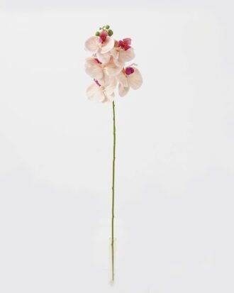 Artificial Flower 15*67cm Phalaenopsis *5 single stem GS-64923006-K1 Single Flowers YeahFlower is one of Chinese leading OEM manufacturers and exporters , supplying the silk flowers, wholesale artificial trees