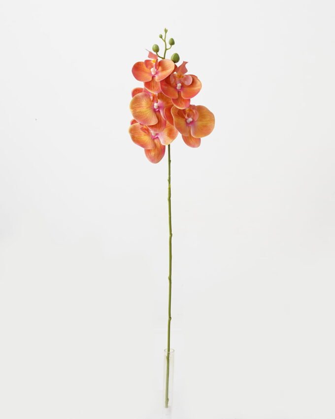 Artificial Flower Phalaenopsis 5 single stem GS-64923006-K1_7 Artificial Flower 15*67cm Phalaenopsis *5 single stem GS-64923006-K1 Single Flowers YeahFlower is one of Chinese leading OEM manufacturers and exporters , supplying the silk flowers, wholesale artificial trees