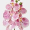 Artificial Flower 15*67cm Phalaenopsis *5 single stem GS-64923006-P5 Single Flowers YeahFlower is one of Chinese leading OEM manufacturers and exporters , supplying the silk flowers, wholesale artificial trees