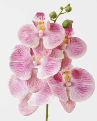 Artificial Flower 15*67cm Phalaenopsis *5 single stem GS-64923006-P5 Single Flowers YeahFlower is one of Chinese leading OEM manufacturers and exporters , supplying the silk flowers, wholesale artificial trees