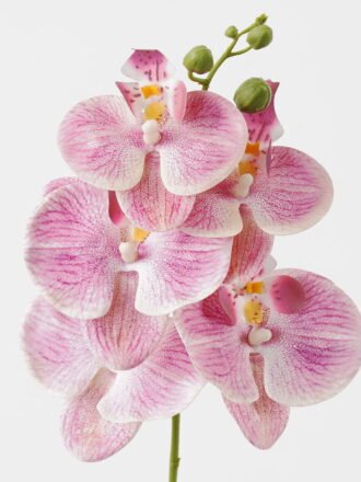 Artificial Flower 15*67cm Phalaenopsis *5 single stem GS-64923006-R2 Single Flowers 3,000+ sqm showroom with thousands of artificial flowers, plants & trees ready for global sourcing.