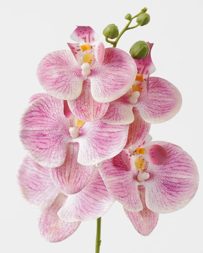 Artificial Flower 15*67cm Phalaenopsis *5 single stem GS-64923006-P5 Single Flowers YeahFlower is one of Chinese leading OEM manufacturers and exporters , supplying the silk flowers, wholesale artificial trees