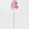 Artificial Flower 15*67cm Phalaenopsis *5 single stem GS-64923006-P5 Single Flowers YeahFlower is one of Chinese leading OEM manufacturers and exporters , supplying the silk flowers, wholesale artificial trees