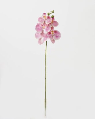 Artificial Flower 15*67cm Phalaenopsis *5 single stem GS-64923006-P5 Single Flowers YeahFlower is one of Chinese leading OEM manufacturers and exporters , supplying the silk flowers, wholesale artificial trees