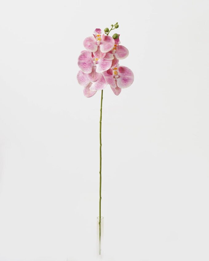 Artificial Flower 15*67cm Phalaenopsis *5 single stem GS-64923006-P5 Single Flowers YeahFlower is one of Chinese leading OEM manufacturers and exporters , supplying the silk flowers, wholesale artificial trees