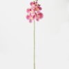 Artificial Flower 15*67cm Phalaenopsis *5 single stem GS-64923006-P5 Single Flowers YeahFlower is one of Chinese leading OEM manufacturers and exporters , supplying the silk flowers, wholesale artificial trees